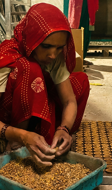 Women Artisans of Moksae