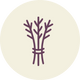 Pure Herb Formula