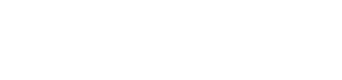 Custom Logo